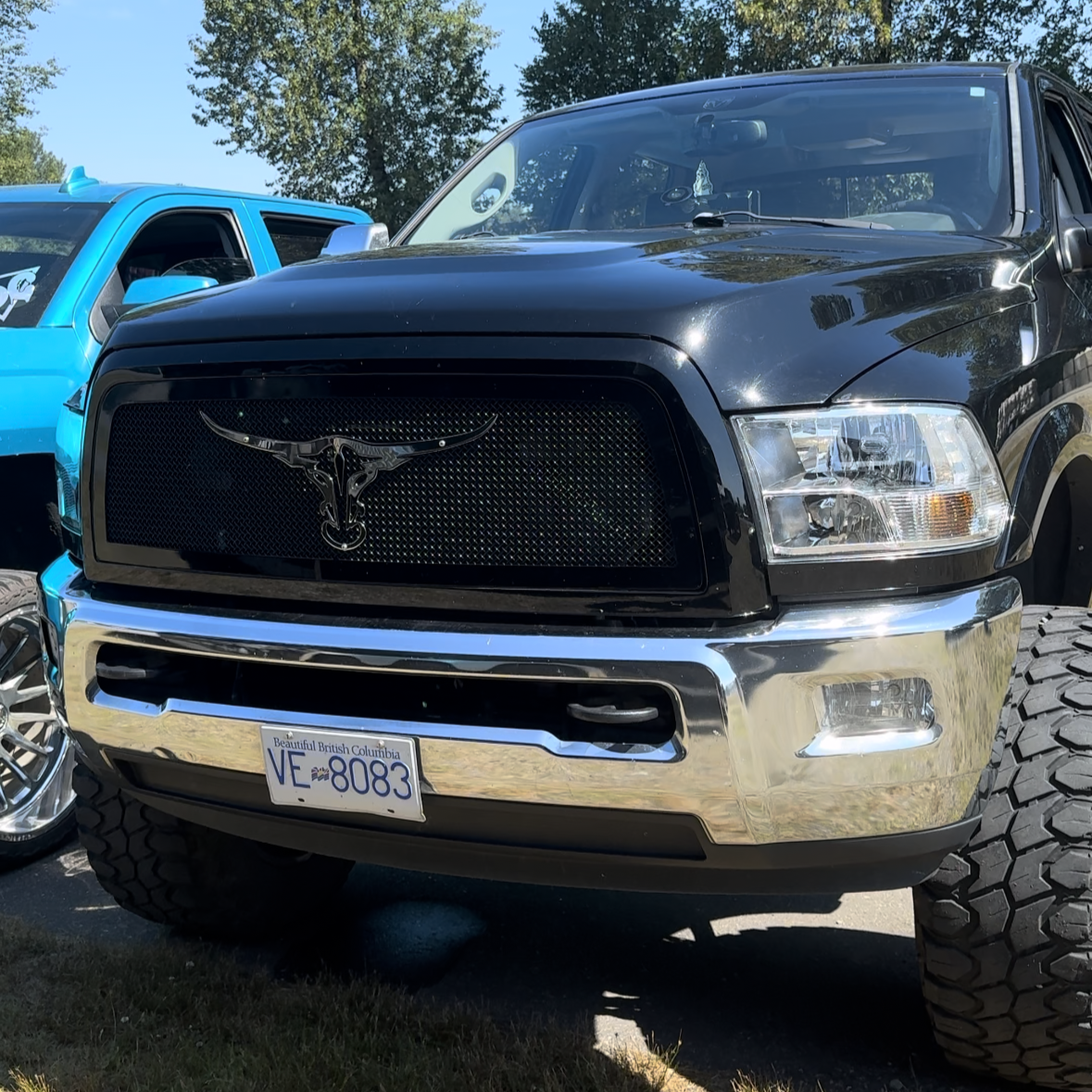 Stainless Steel Longhorn Grille Emblem