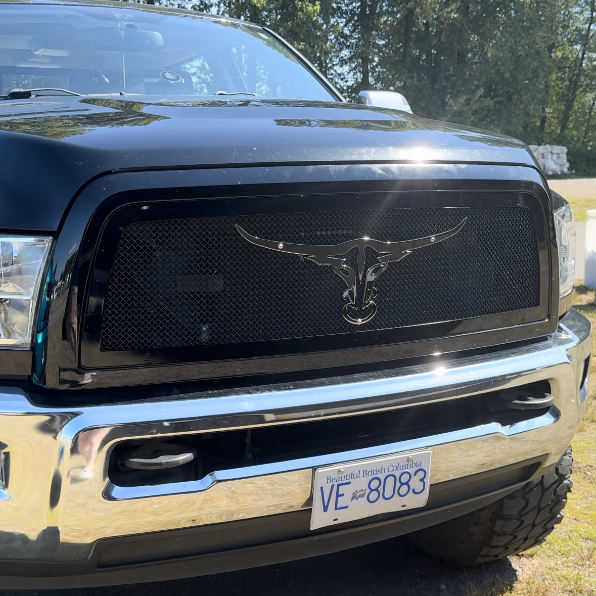 Stainless Steel Longhorn Grille Emblem
