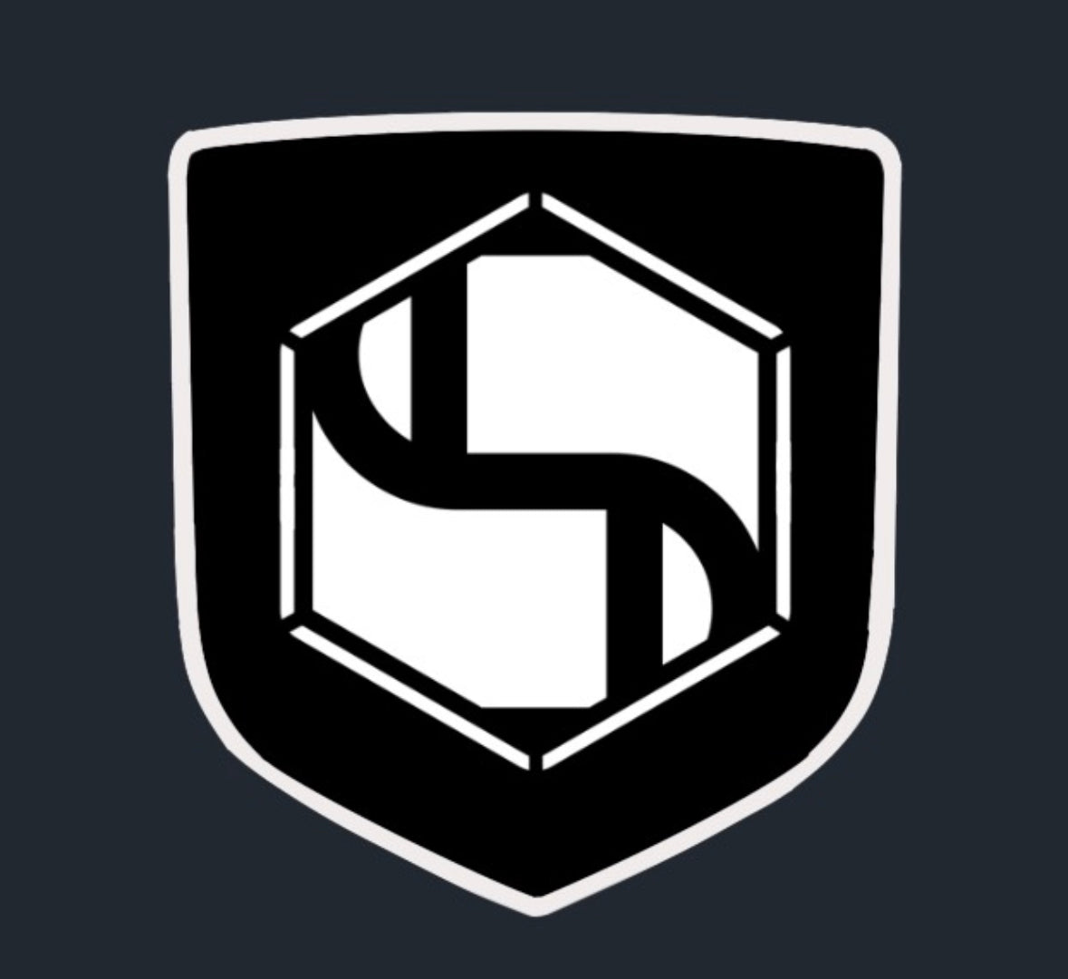 CUSTOM (Your Design) - Tailgate Emblem (4th gen RAM)