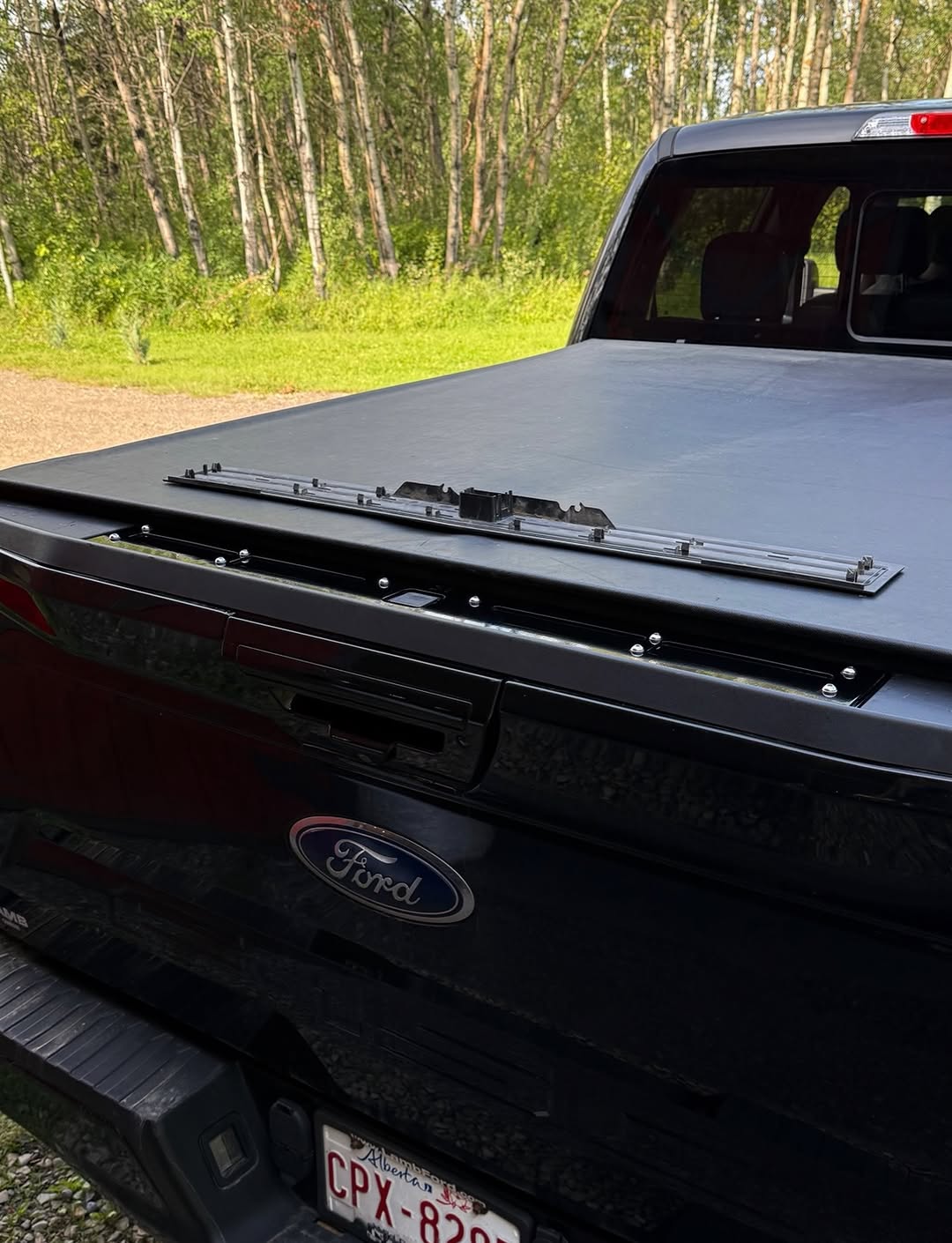 Stainless Tailgate Step Cover (2015 - 2020 Ford F150 / Raptor) (replaces OEM plastic panel)