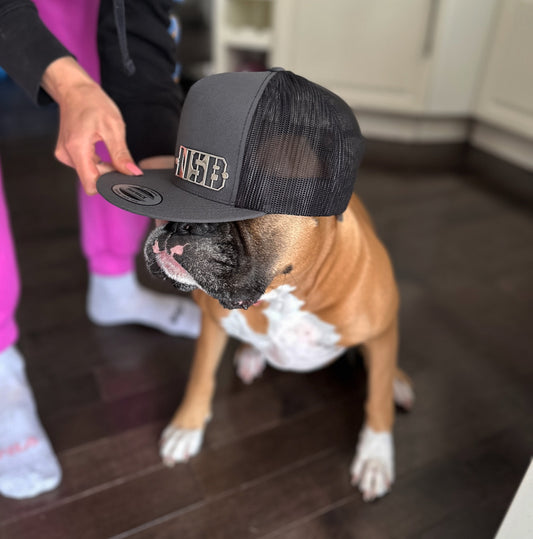 Polished NSB Snapback Hat
