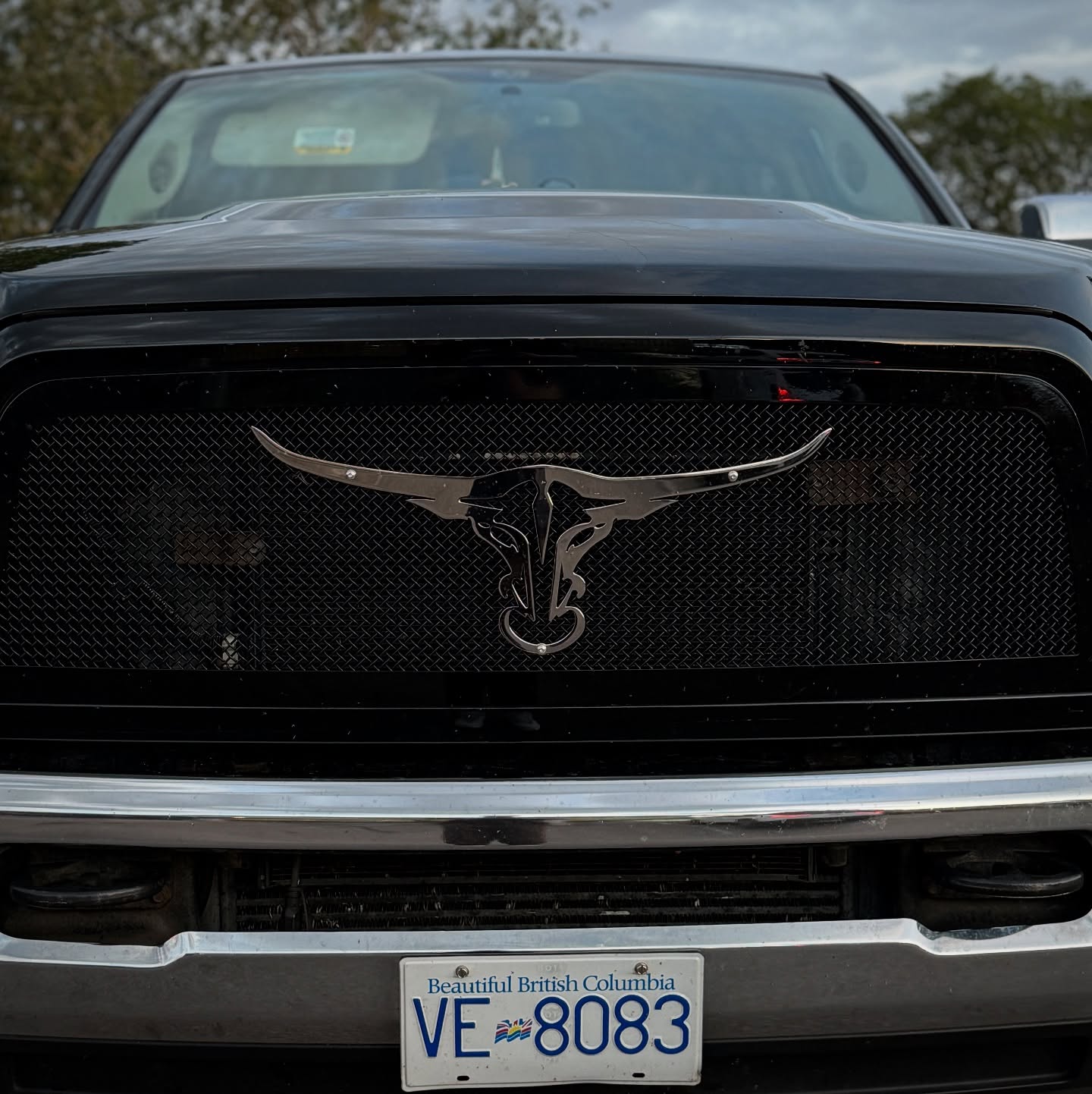 Stainless Steel Longhorn Grille Emblem
