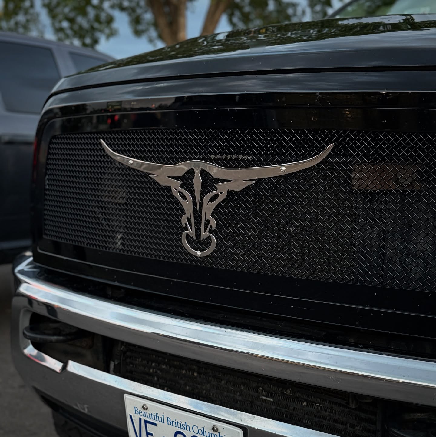 Stainless Steel Longhorn Grille Emblem