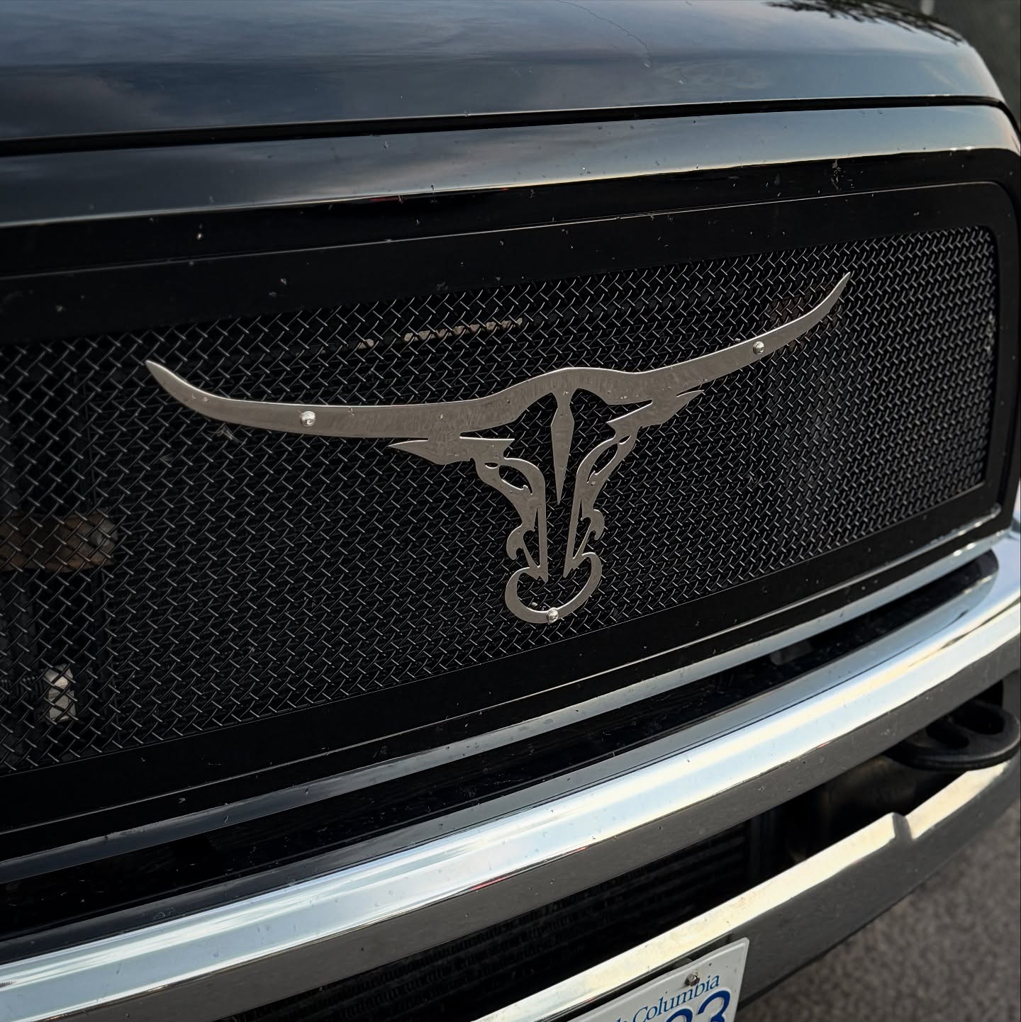 Stainless Steel Longhorn Grille Emblem