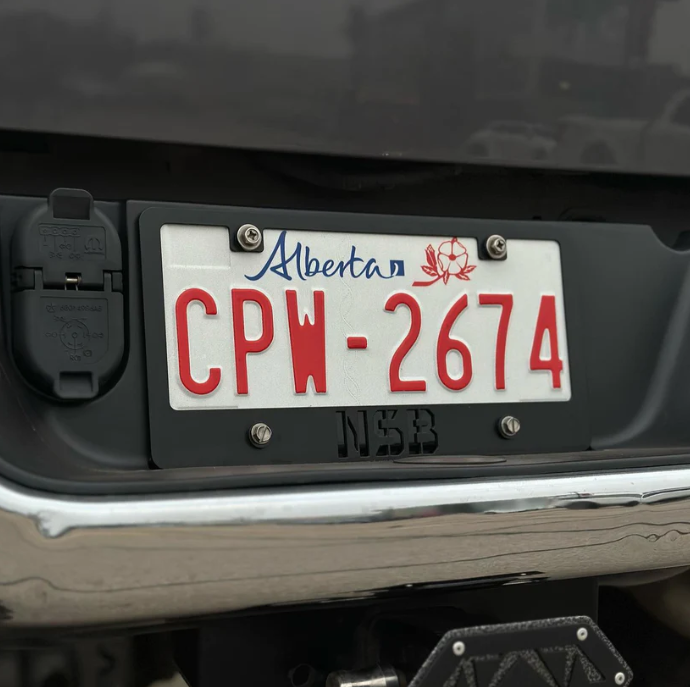 DXF CNC plasma cut laser cut file license plate cover close up view