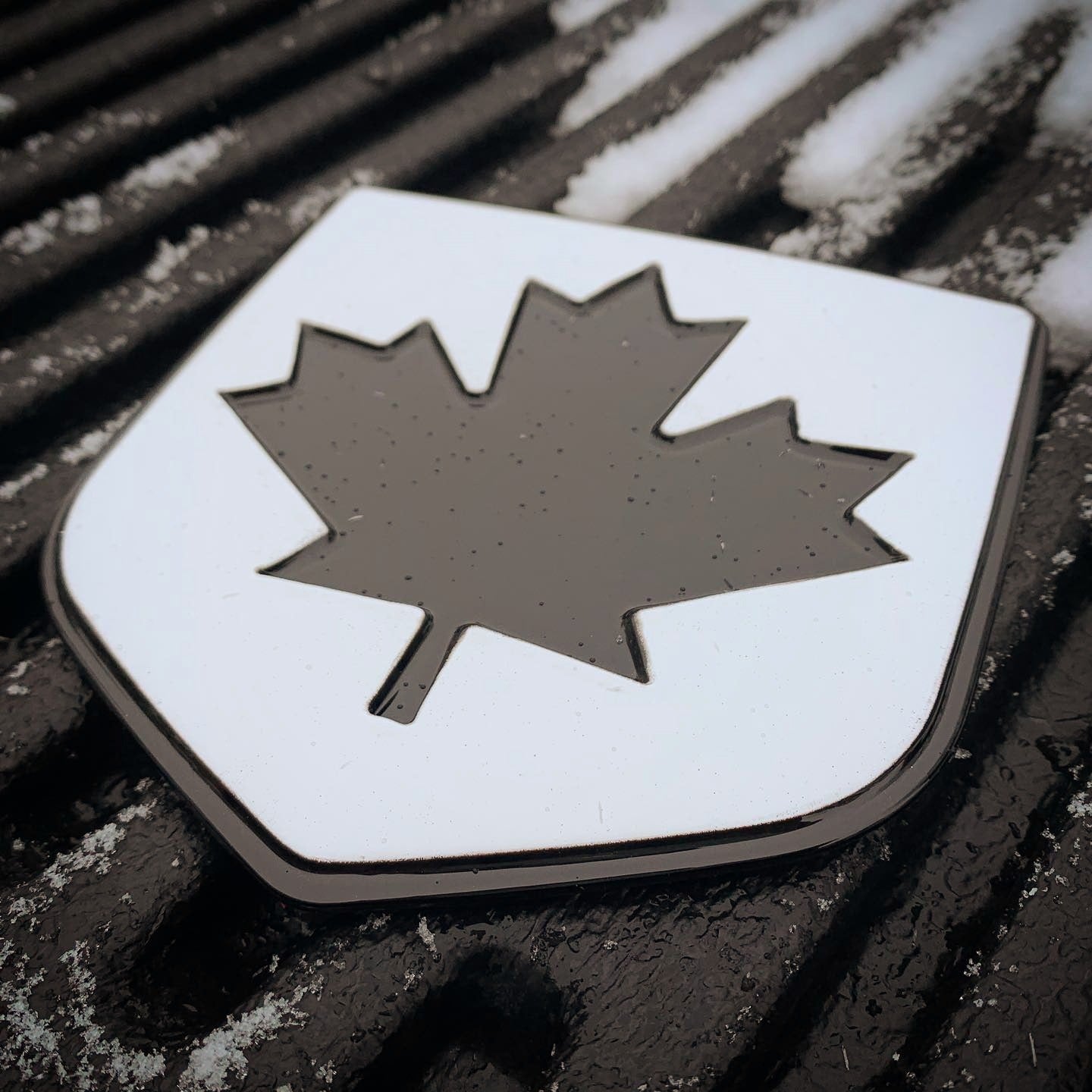 CUSTOM maple leaf Tailgate Emblem (4th gen RAM®) image 4 NSB