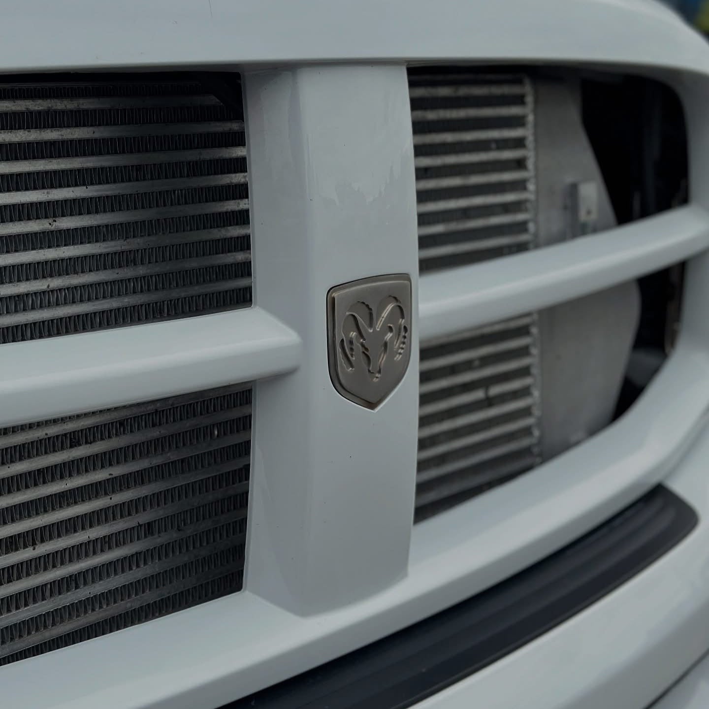RAM SKULL Grille Emblem (Late 3rd gen Dodge RAM)