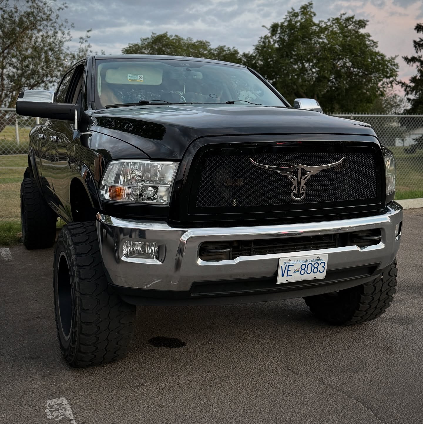 longhorn bull aftermarket grille emblems mounted on the truck 